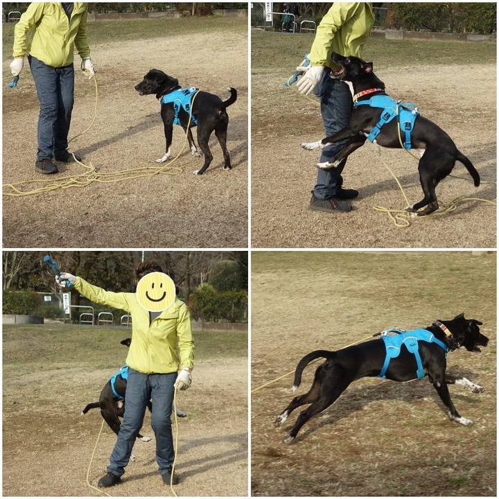 022bd66e 079f 4abf 8759 3066ccee5019 1614903091376