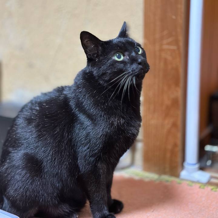 022bdabe df5d 4386 b63f e785ac19640c 1669595473003