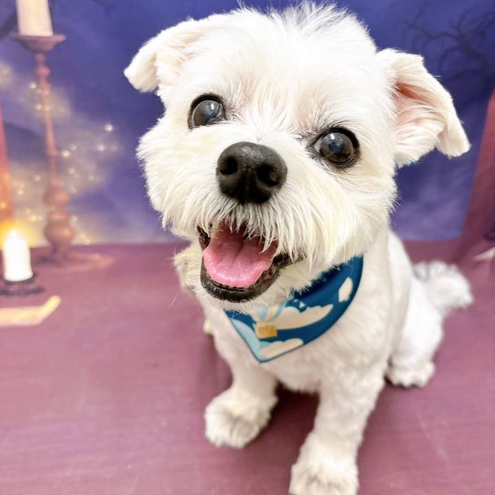 022bdc72 9d18 42ed af73 2dc7cbafacae 1725453281232