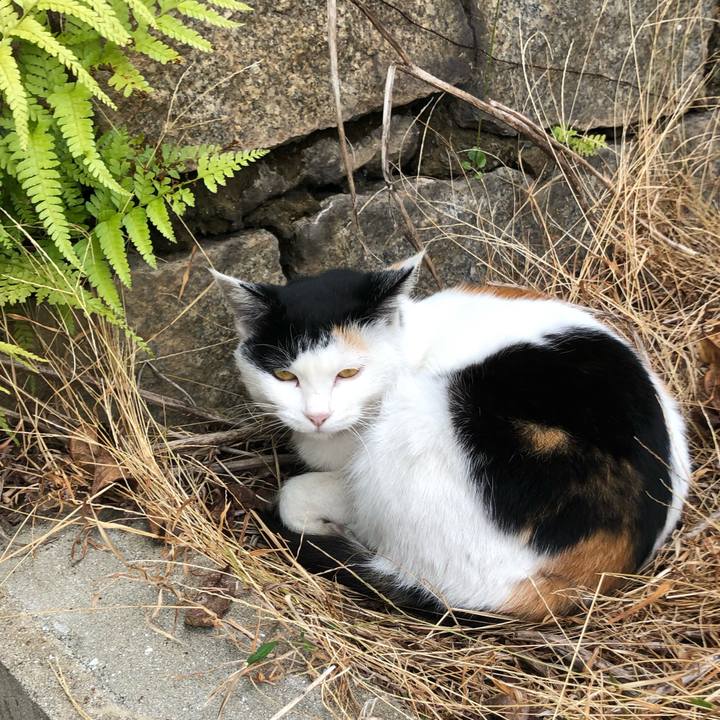 022bde27 219a 4d7f 9995 5ec9278cc22e 1606307066137