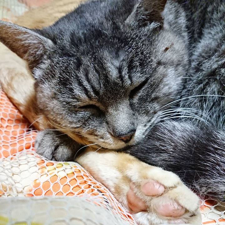 022c3ef5 4feb 4597 8e87 f2346eb08975 1577538293825