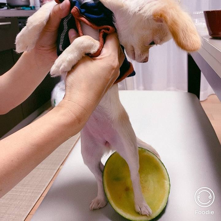 022c4035 8a4d 476e bc74 2f48b76cdd1c 1595078666833