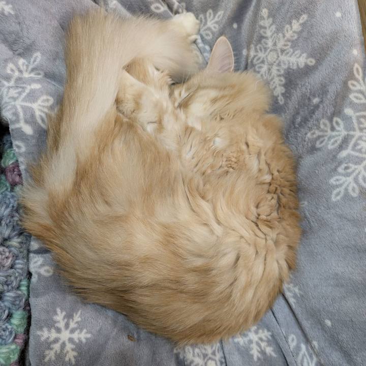 022c5a88 f8e5 4a23 804f a4474562007d 1765026288466