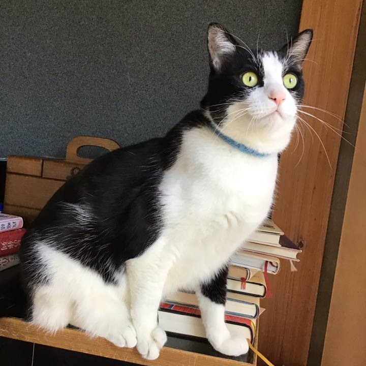 022c91f7 6081 4189 8386 31232a5ed00a 1735617163806