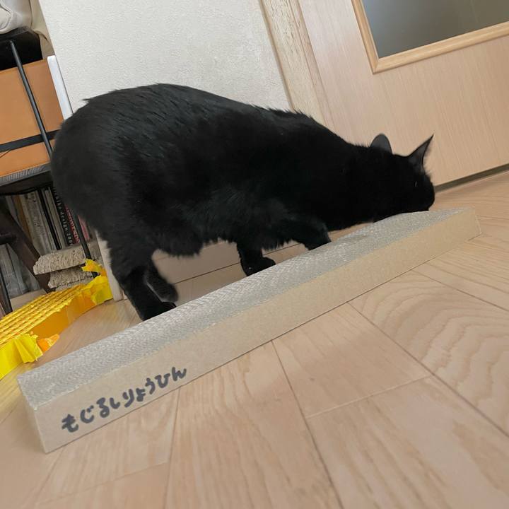 022cb4af 232d 4ddf bbf9 f01b5bb7961f 1671932003962