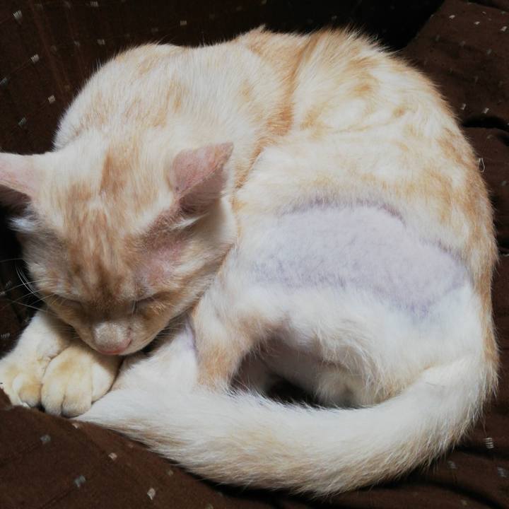 022cd572 7152 4991 b5dd 00fb5664f013 1607724462982