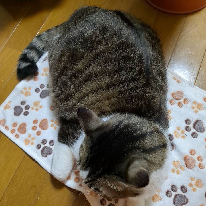 022cec2a 1565 4261 bc9e ee13ce85f0cd 1675466549840