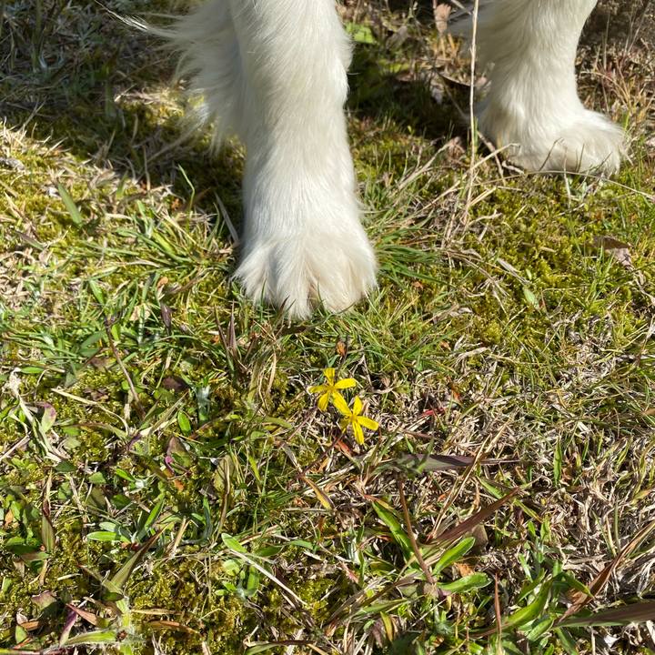 022cf20b 6ad8 48c1 a0cc fc639f64578e 1616807321747