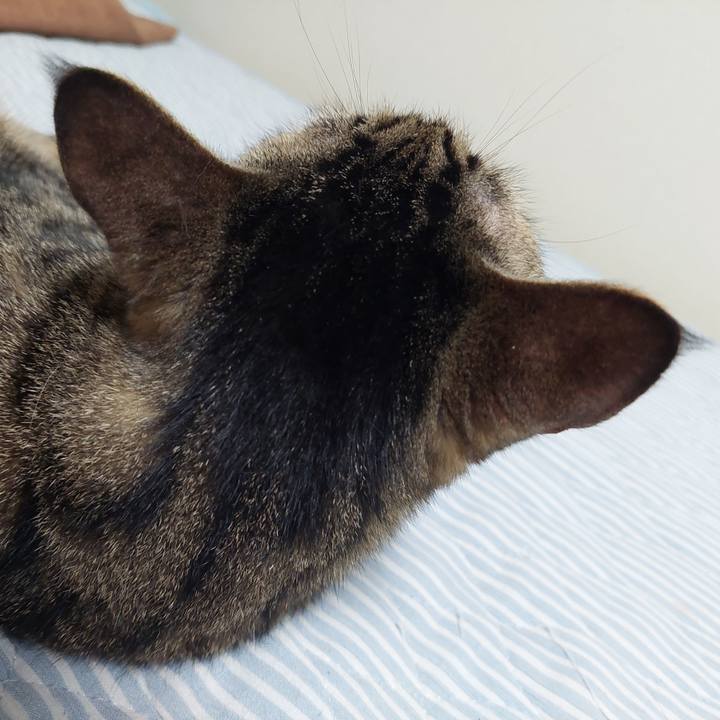 022d29e7 9b46 4d0d b87c cfe9cd4b0ab0 1632950805589