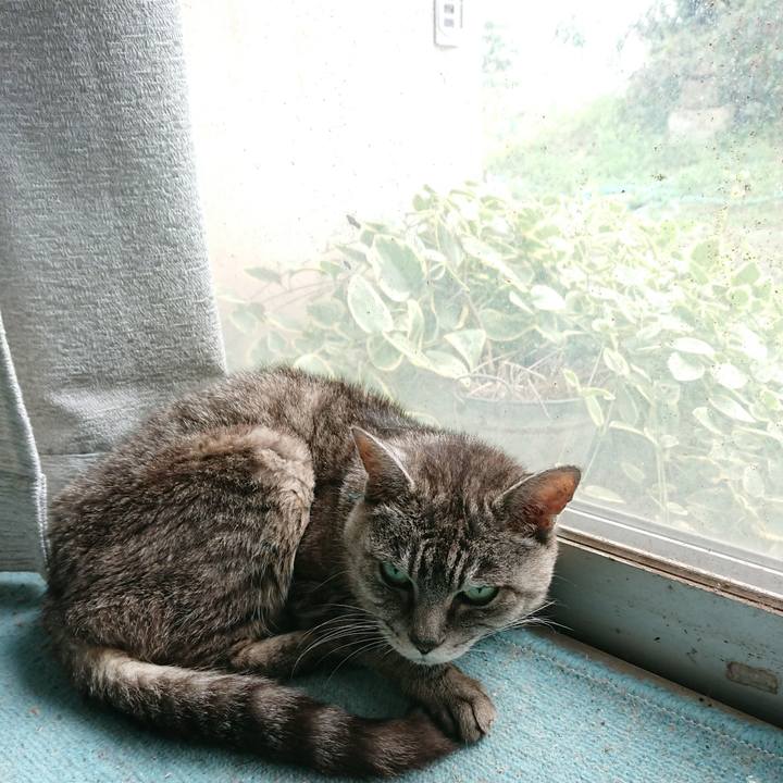 022d3639 d2f9 4266 bc2e 5cbfd590f87a 1569734554751