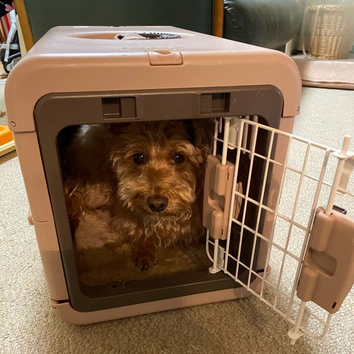 022d4dda 7887 4905 bb9d 0dd2474e4740 1624016190201