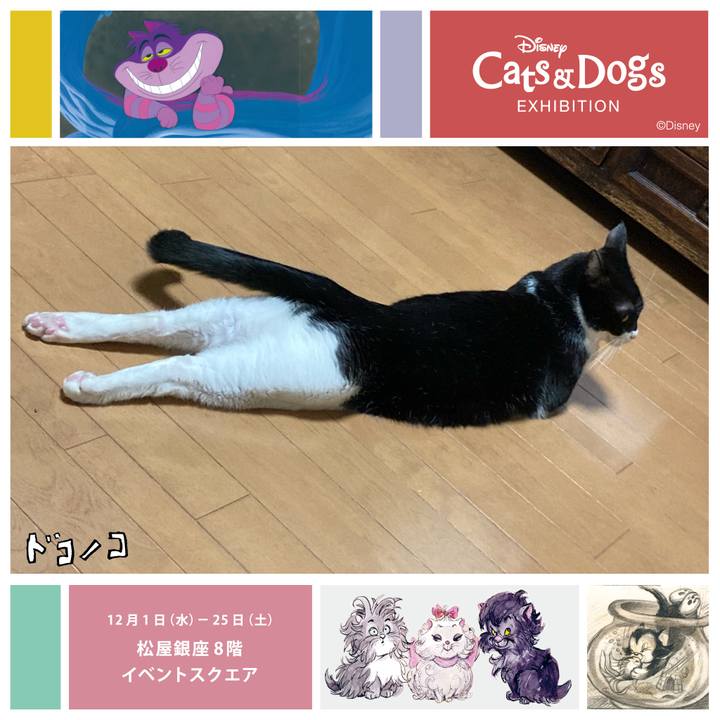 022d4df7 c037 466b bdac 95200faa79d7 1638518327057