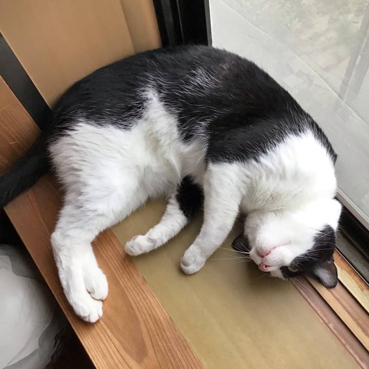 022d7efd 1fae 4407 8687 2824d0b1de31 1722853131058