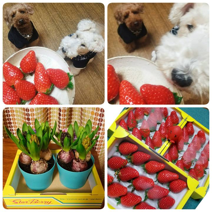 022da15a 0c56 493e 81b8 77f6a8df71ae 1516537574537