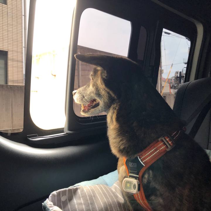 022da16a a618 4ceb a58e 297e70548140 1680098424692