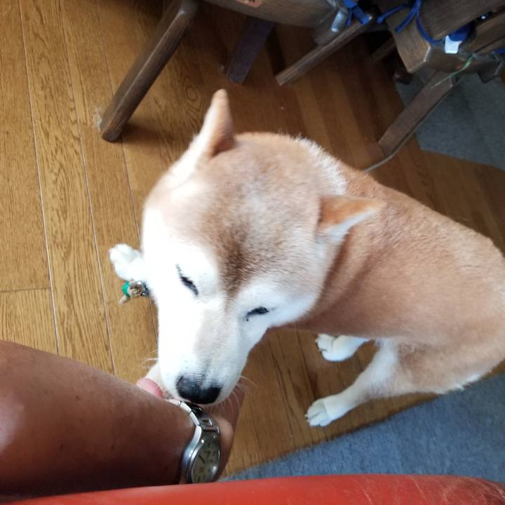 022daad3 0570 4e0a a814 63b176efa1af 1691034603238