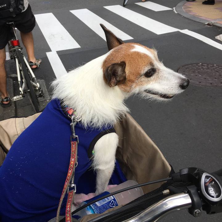 022dc47f beb1 4c57 a73f eb6492f1db81 1630452801904