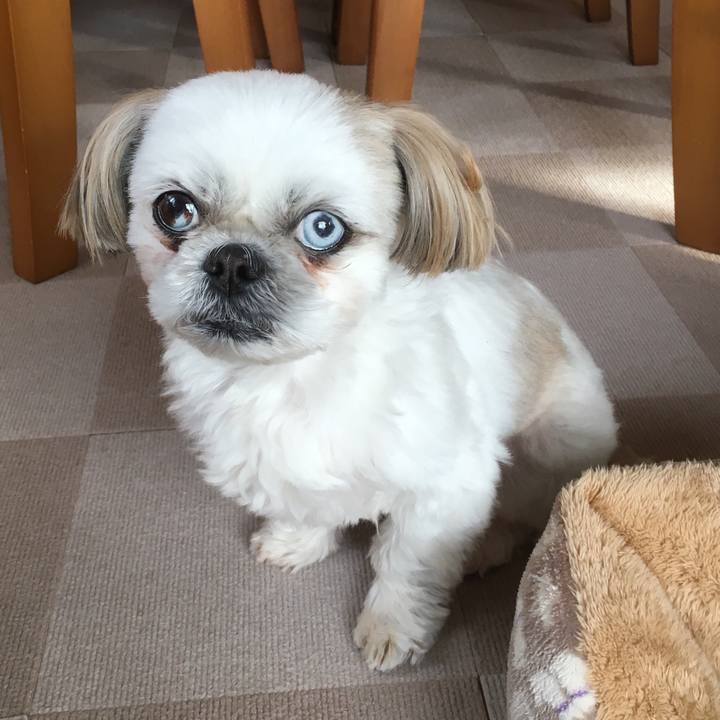 022dc527 1208 4e7c a8af 5faad21bdf45 1517617061502