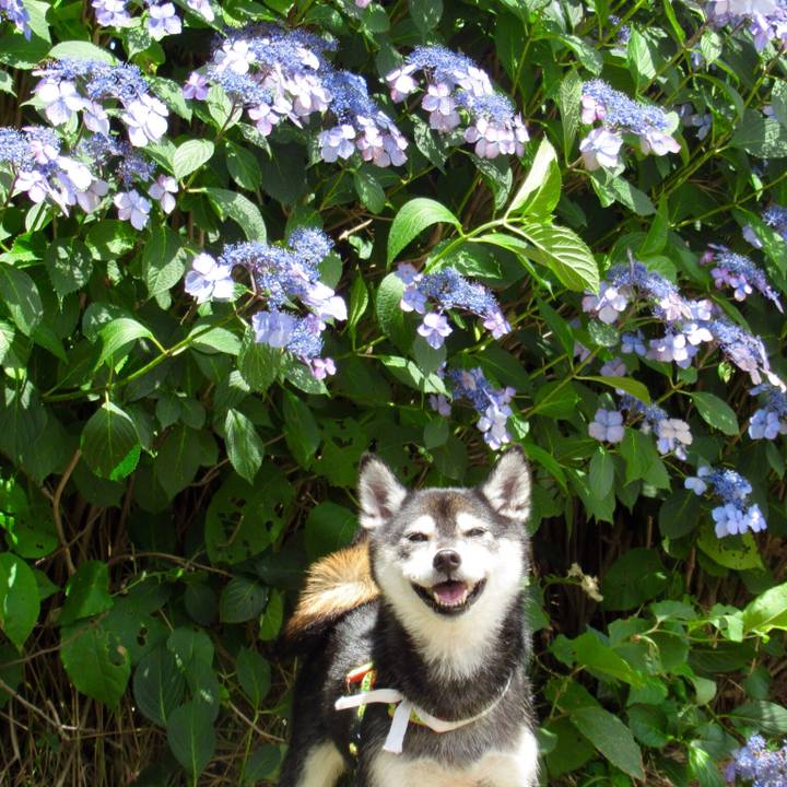 022dd963 98ad 4543 856e 2d5da38938ae 1593507461068