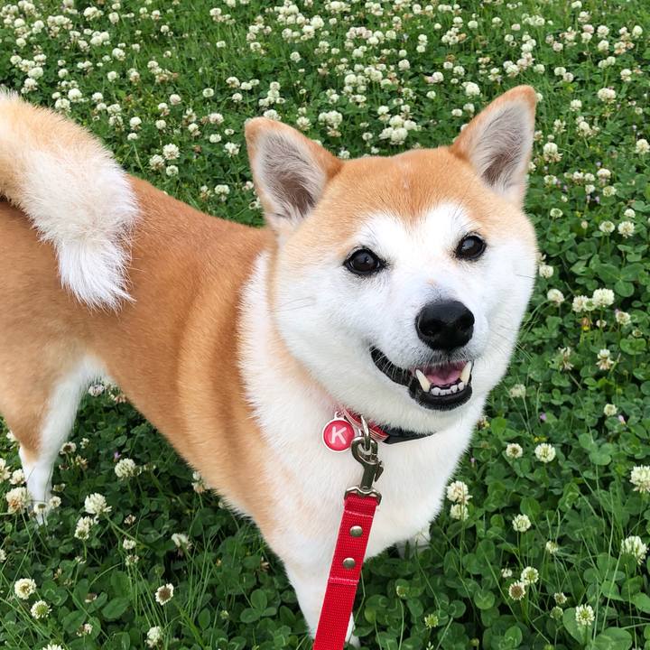 022dfd5a 1cb6 4cb2 a99e b0bb9a9e0228 1620776592551