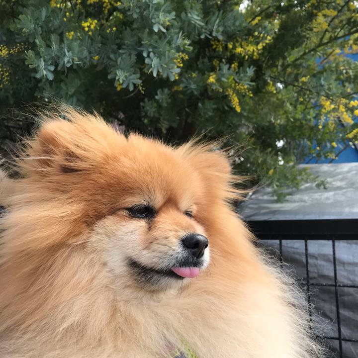 022e1ea3 1a25 4ef8 85e4 1730ac0dfa7f 1552183887489