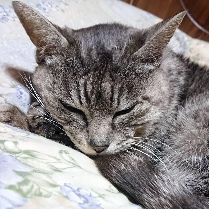 022e288a e719 4211 aa84 39b98cae6386 1583667457866