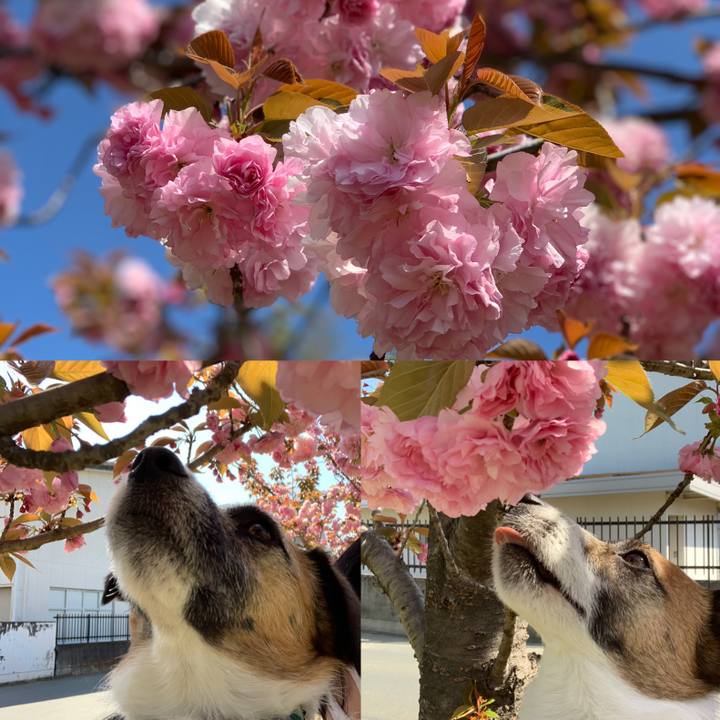 022e38d2 0d01 4fd9 8664 6eac6557aaca 1618108749344