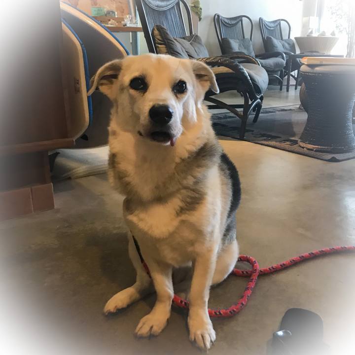 022e510d 0e78 459f 9e7e a87dae18b045 1585746054973