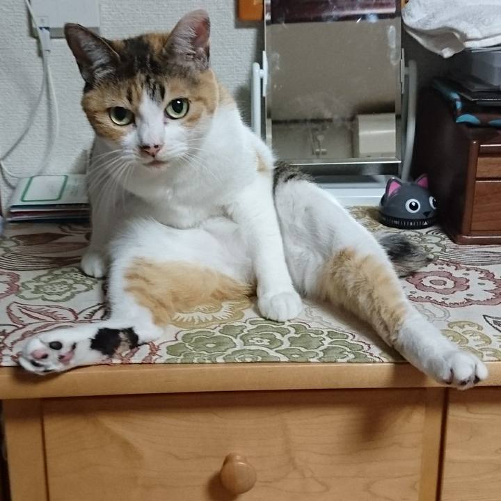 022e55ed 6911 41a4 9152 02e7f8dba0fc 1566473007795