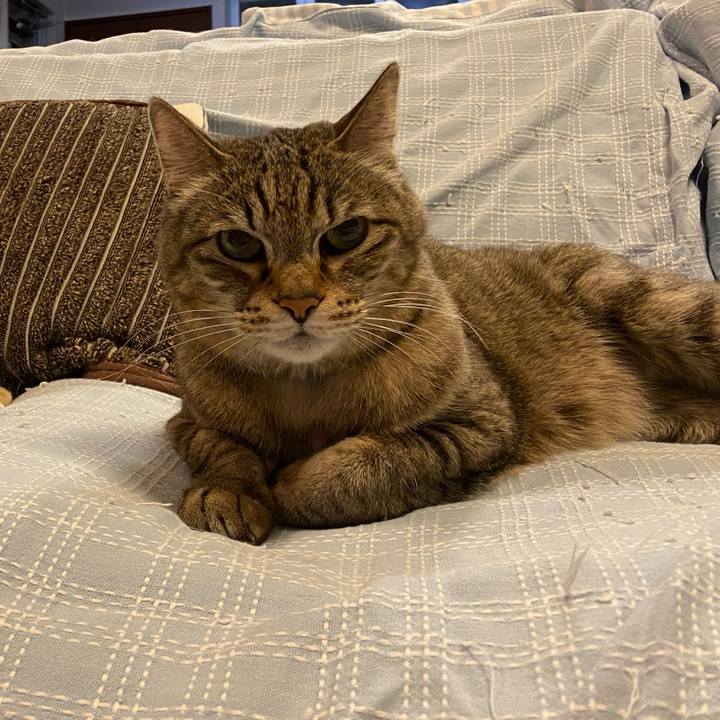 022e6bff 97f6 4a06 b136 625098f4848d 1727563856482