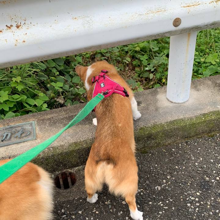 022e9a13 40ef 4f12 9ee2 37a0a5fa5c28 1626736666325