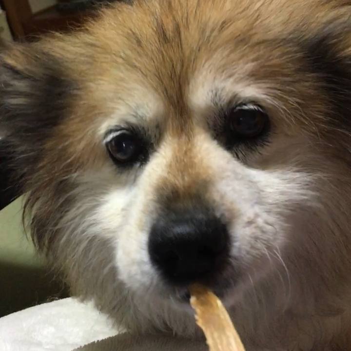 022ea26c 3cfc 4054 a668 50eadab9b32f 1634955317484