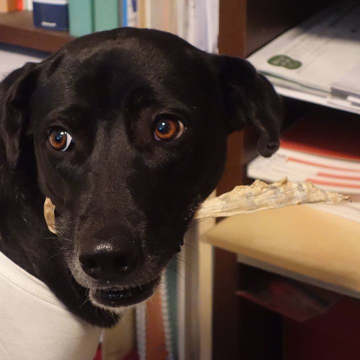 022eb262 4219 4cd8 9dc6 df5696f0a19c 1607595620417