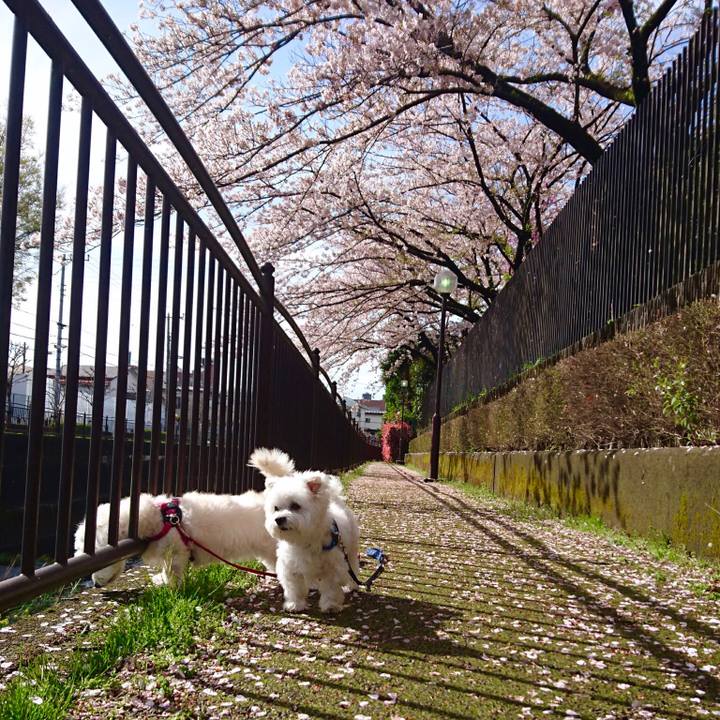 022eb263 9f9d 4b3d b79b b73af7078f20 1554172380844