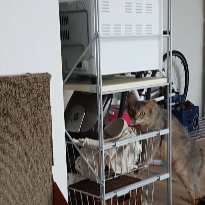 022ec2fd 0bb1 4f7b bf54 169189b9bb9d 1530060610536