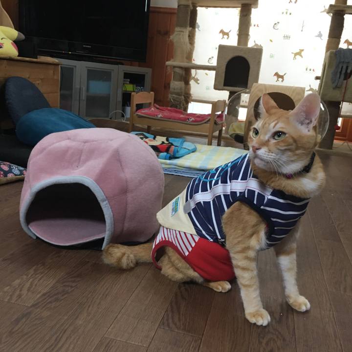 022eecf7 a000 45a2 b3f9 eb9946fefa26 1595742943450