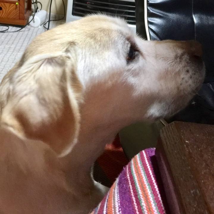 022ef4c9 fe5e 4351 ac25 25471e5976de 1521639258048