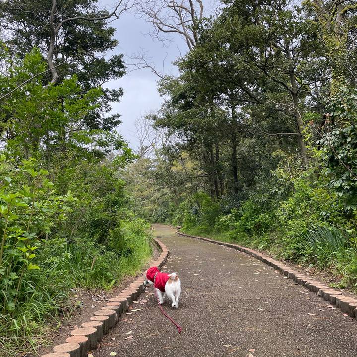 022f171e c9dd 4938 8088 d23ff9f8a3be 1619999548104