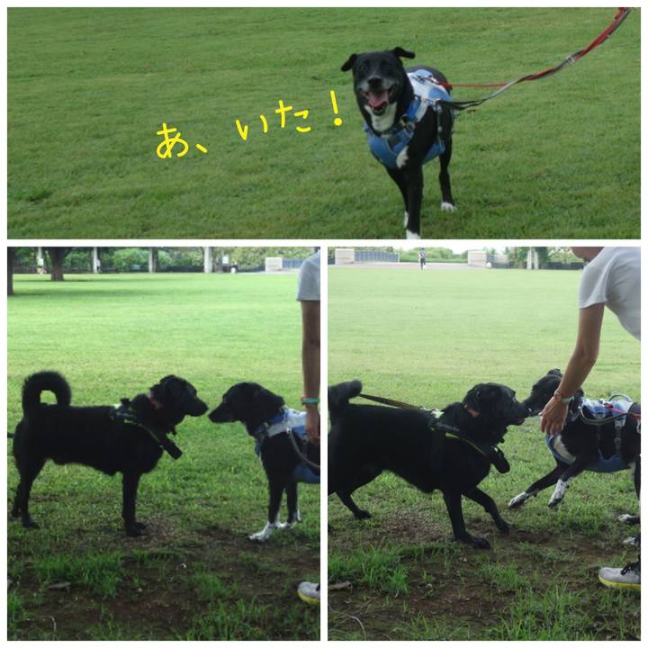 022f3927 57ee 4a76 8b3e 45f3d9f740ea 1692403370179