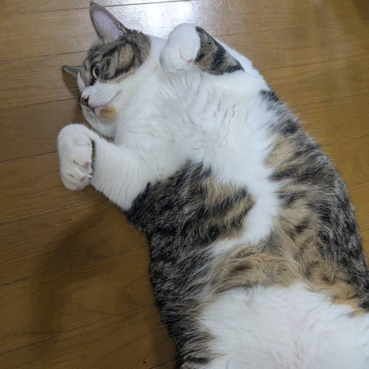 022f3db1 9c25 49fc 829f 51f4129b63ec 1755909121535