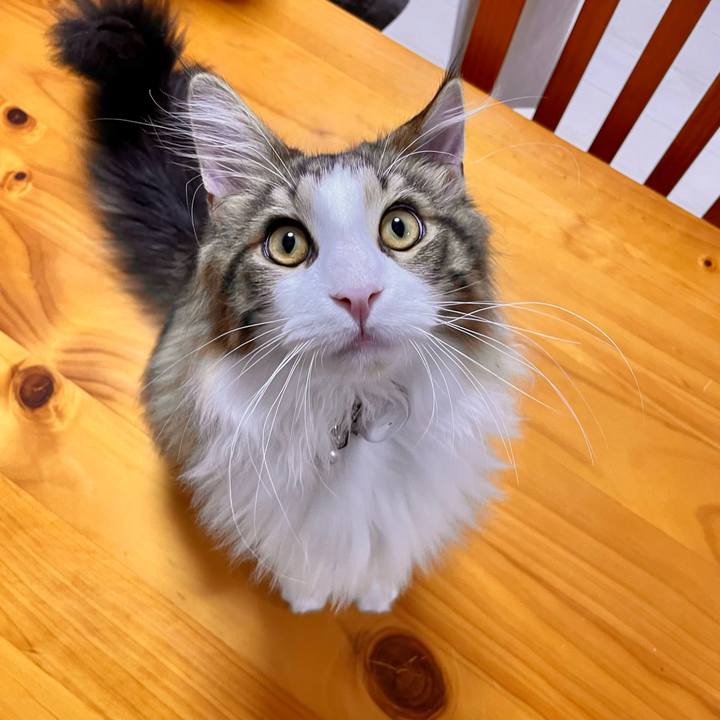 022f4534 84fe 4428 92d7 5d0438faf157 1640728731147