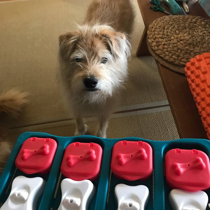 022f60bd 3939 453e 874d 140a3b3327c5 1586744114232