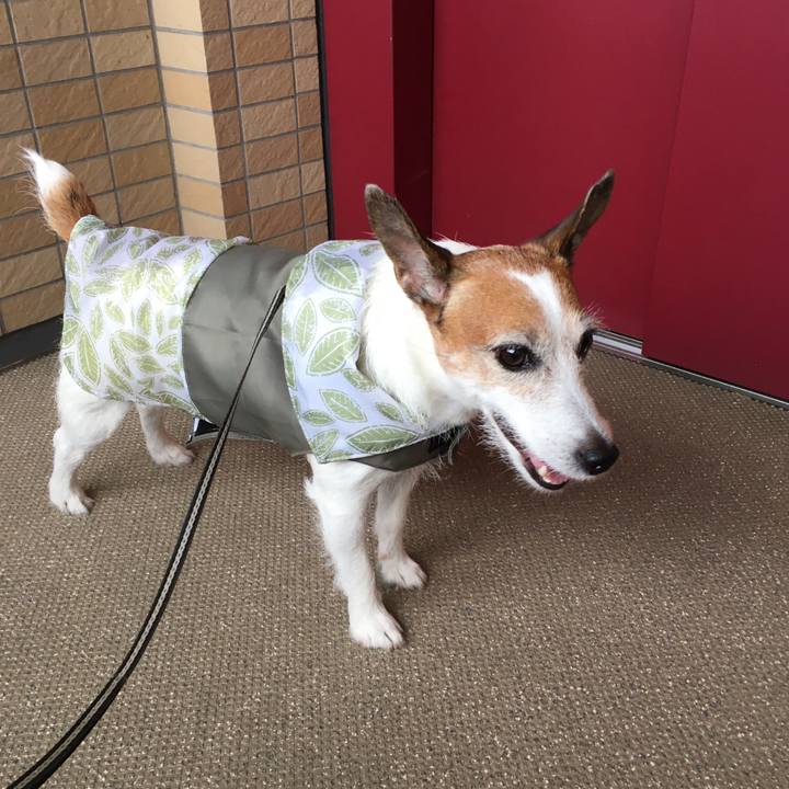 022f93eb 261e 4a48 80ea 16146ee6bcb7 1657928607865