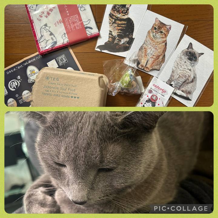 022fdfe4 da2d 4e4b bdd3 e19b75612ab1 1738735992294