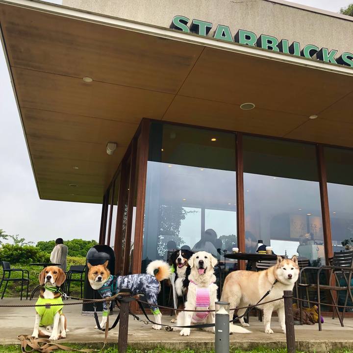 023008b3 5b60 4e29 8620 ce650edaf282 1561884301752