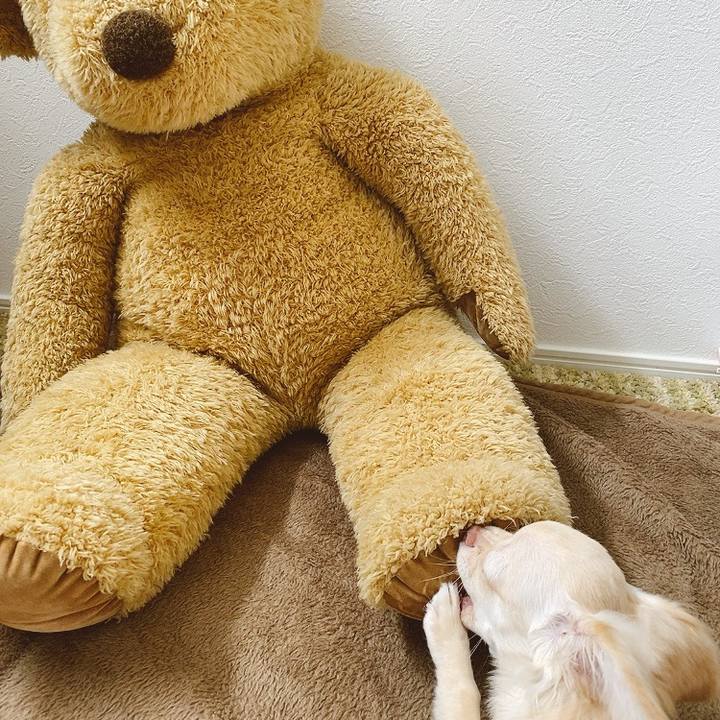 023030c6 d950 4955 9587 282409cb1942 1596178713744