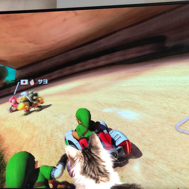 0230314c 2b03 4c17 b12c 2224c4c1e441 1516763413018