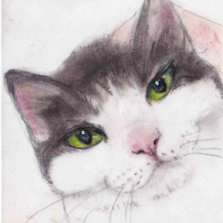 02303f07 eb5e 4f2f 9611 1a6a2c5d48de 1656078551875