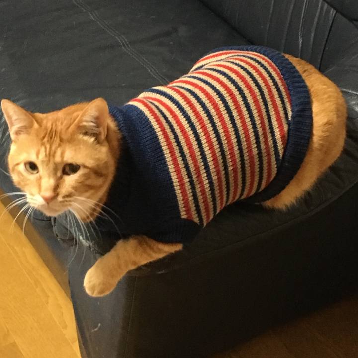 0230b48f fb88 46fd 84c5 25ff1e8b1ed7 1539692199230