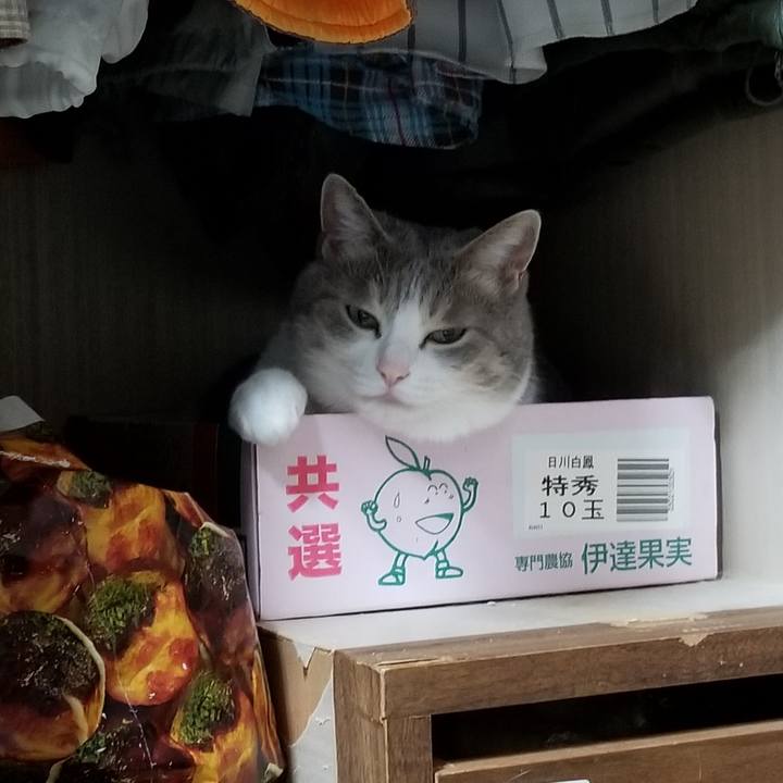 0230cad4 a614 422c b149 93e7f0975871 1635858329770